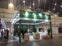 展會服務之選 鄭州展臺搭建與會議空間布置全攻略